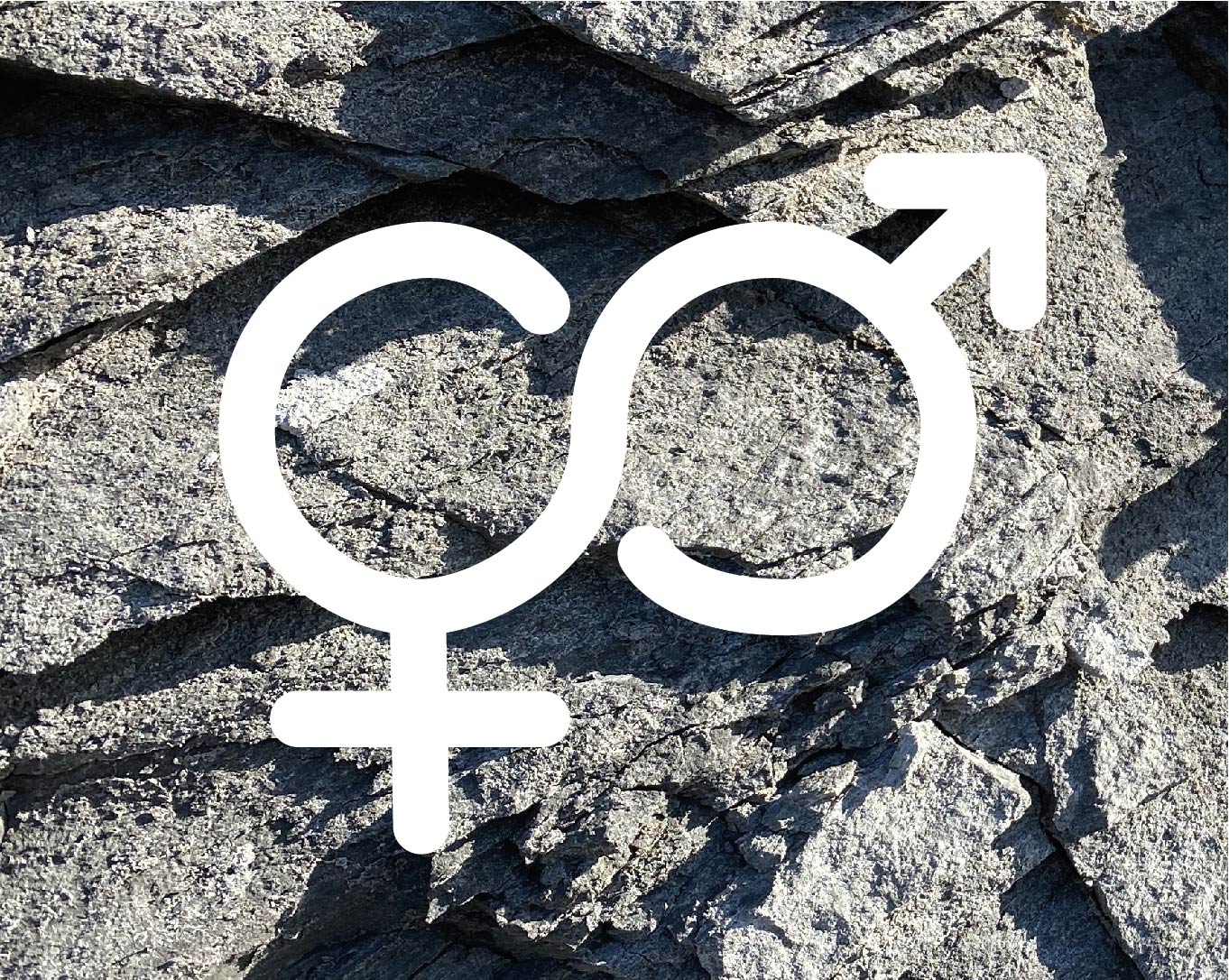 Gender diversity in Danish geoscience
